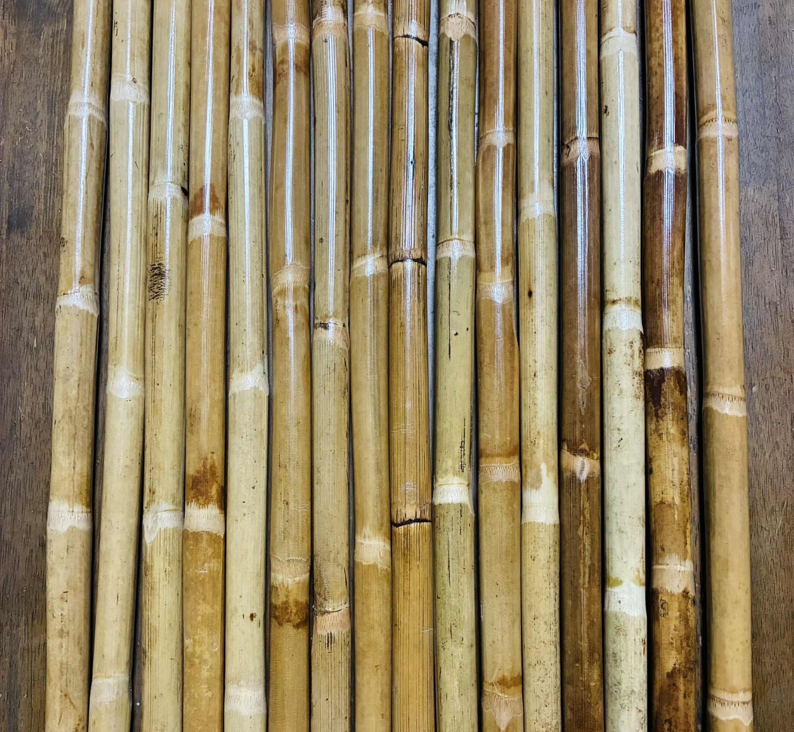 �饿���� 28����� ��¿�ᡡ����������ɥ��ꥹ�ƥ��å� 2��1���å�