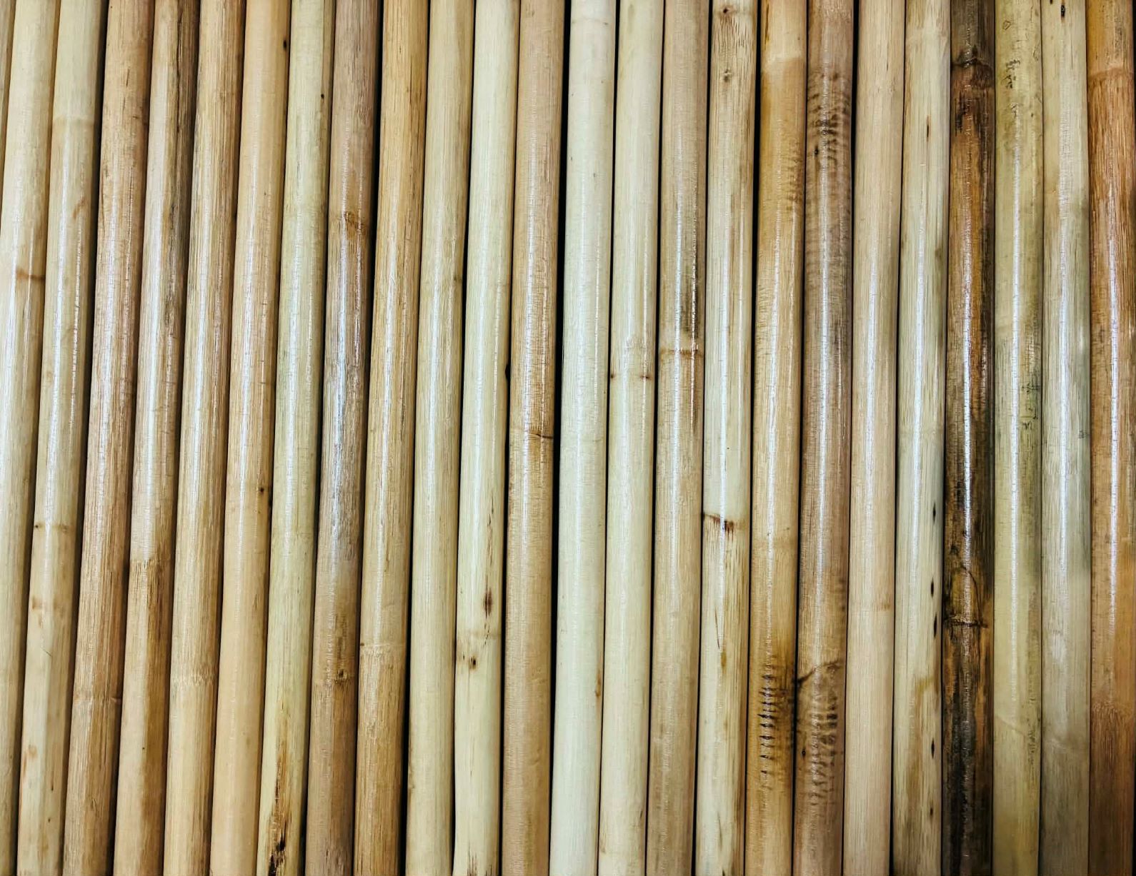 �饿���� 28����� �ץ�ߥ��५�ꥹ�ƥ��å�  2�ܣ����å�