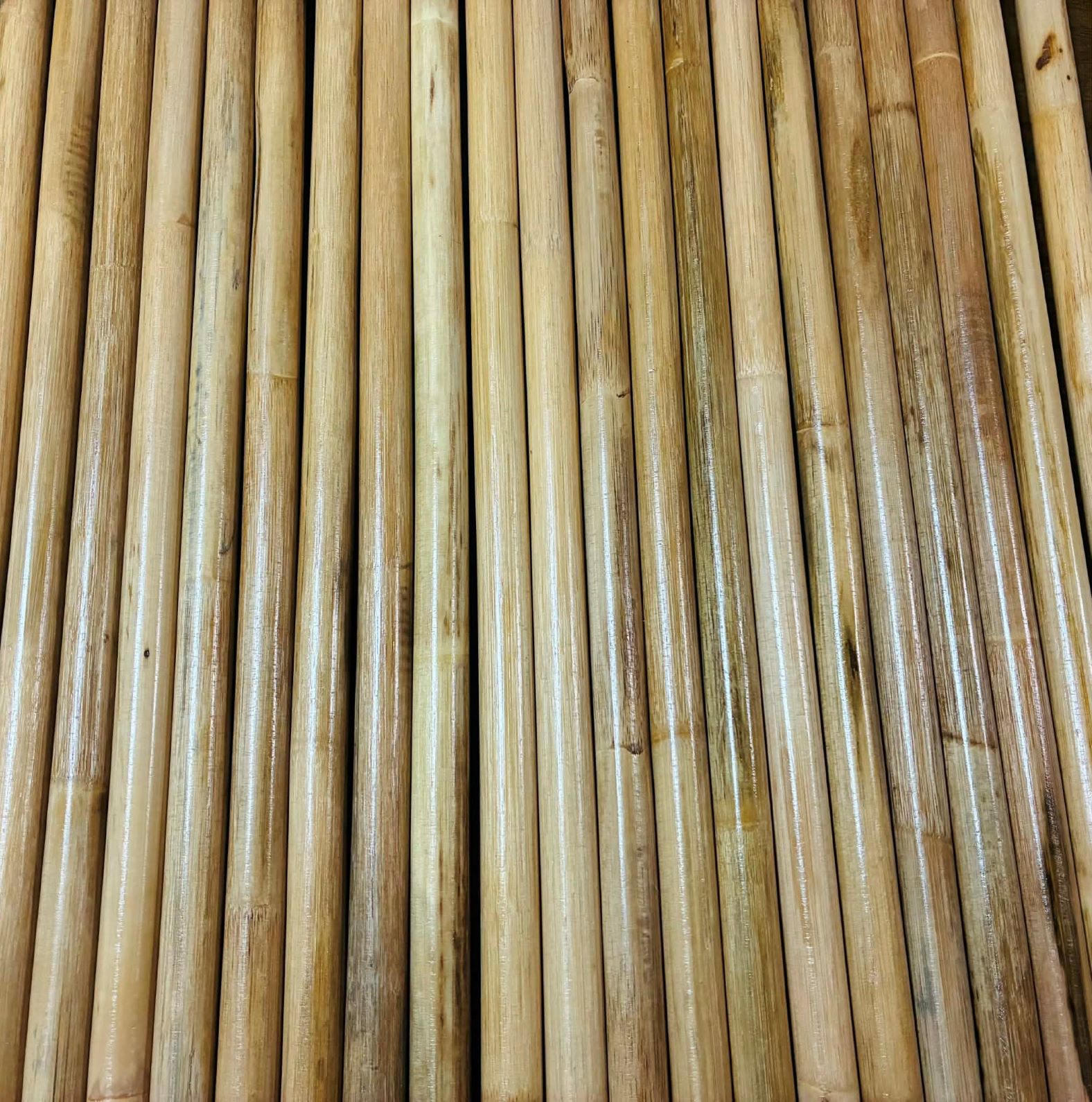 �饿���� 28����� �ץ�ߥ��५�ꥹ�ƥ��å�  2�ܣ����å�