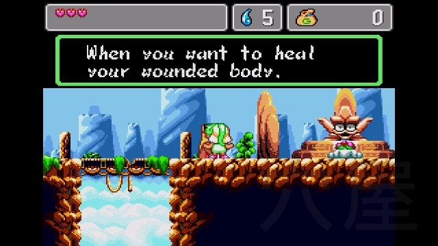 Wonder Boy: Asha in Monster World/ワンダーボーイ：アーシャ・イン