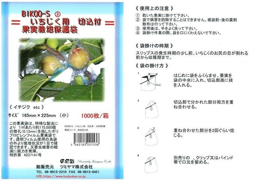 在庫処分！ イチジク3種 イチジク いちじく 結実確認済 - メルカリ