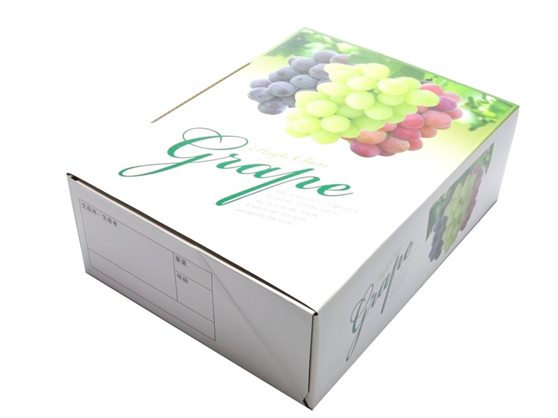 A-4T　三色　25枚/箱