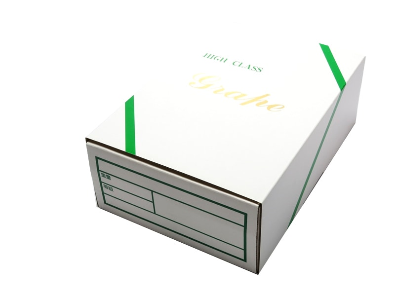 ベストグレープ　C-2-1　ライングレープ　50セット