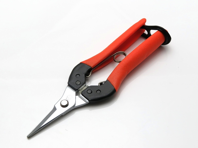 サボテン 衝撃吸収 摘果はさみ 【トマト、ナス、きゅうりに最適】 刃長35mm 腱鞘炎対策品 AG-7