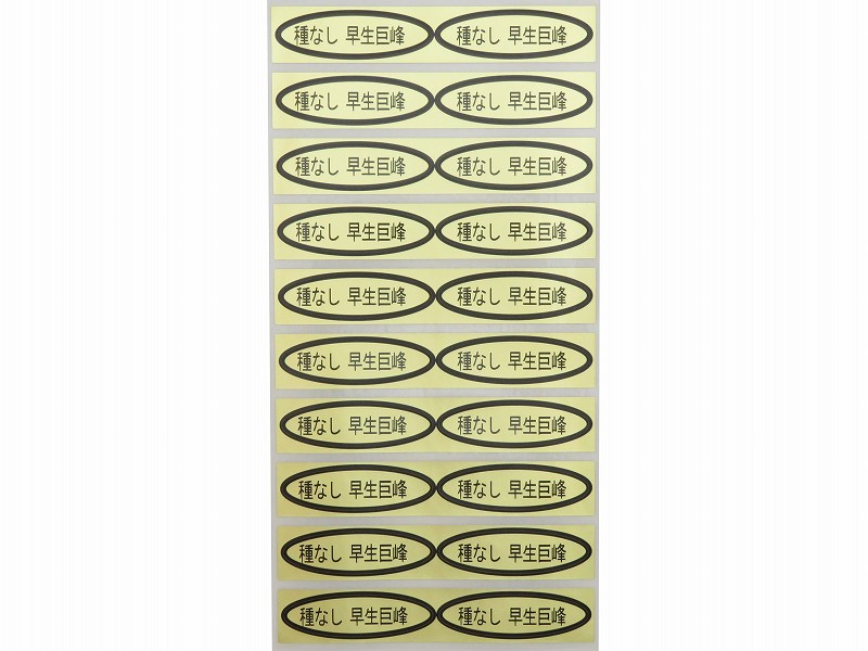 品種金シール　種なし 早生巨峰　49×14mm　楕円形500枚(20枚×25シート)