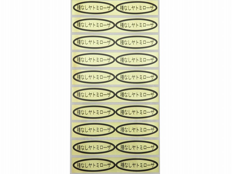 品種金シール　種なしヤトミローザ　49×14mm　楕円形500枚(20枚×25シート)