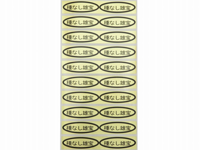 品種金シール　種なし雄宝　49×14mm　楕円形500枚(20枚×25シート)