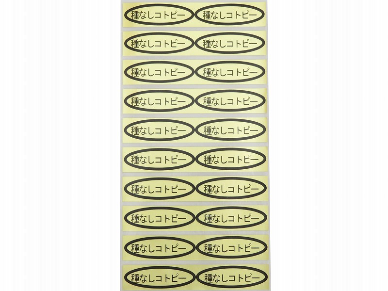品種金シール　種なしコトピー　49×14mm　楕円形500枚(20枚×25シート)