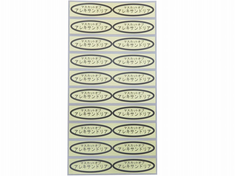 品種金シール　マスカットオブアレキサンドリア　49×14mm　楕円形500枚(20枚×25シート)