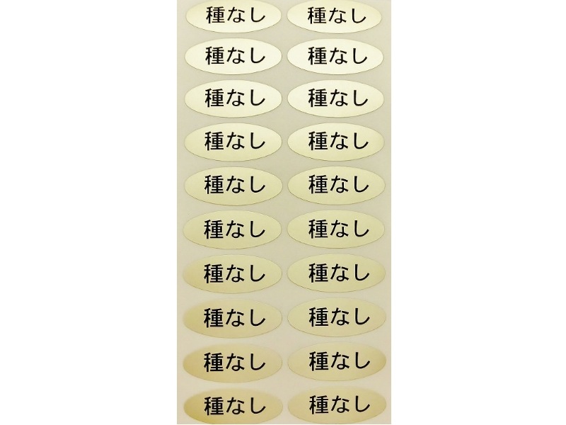 シール　種なし（金）36×14mm　楕円形500枚(20枚×25シート)