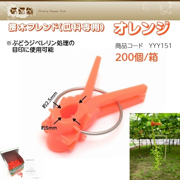 追加商品画像