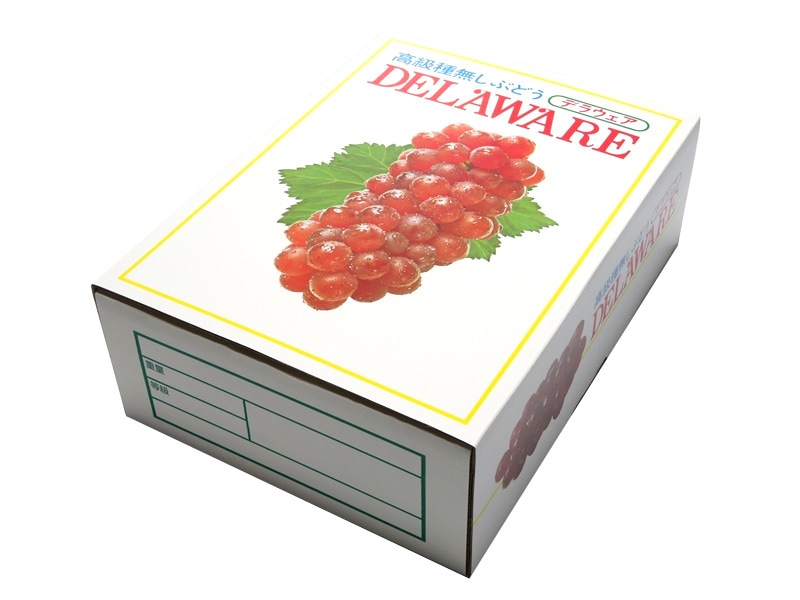ベストグレープ　C-3　デラウェア　フタ、身　50セット