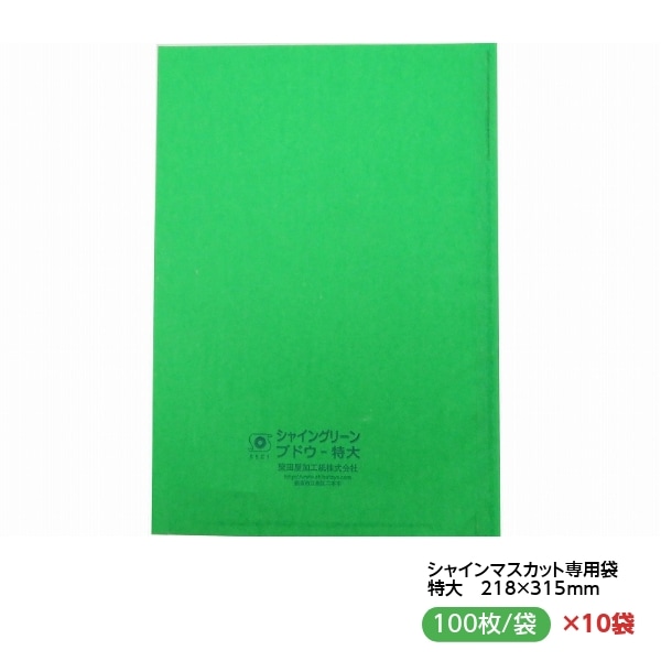 お買得！緑ぶどう 専用シャイングリーン ブドウ袋 特大 218×315mm （100枚入×10セット）