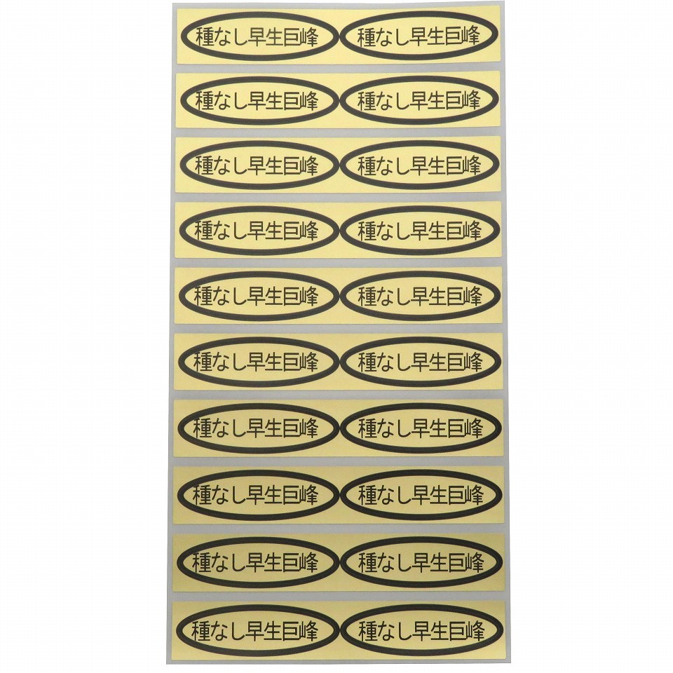 品種金シール　種なし早生巨峰　49×14mm　楕円形500枚(20枚×25シート)