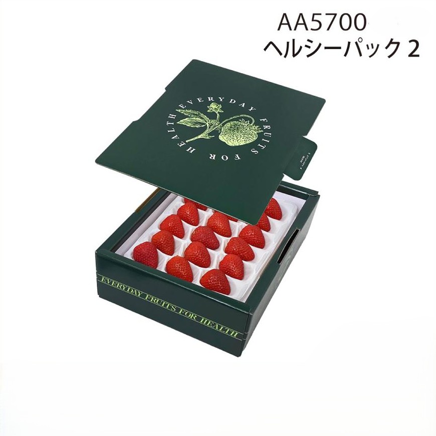 【いちご用化粧箱】ヘルシーパック２（10枚入）　内寸：240×175×Ｈ75mm