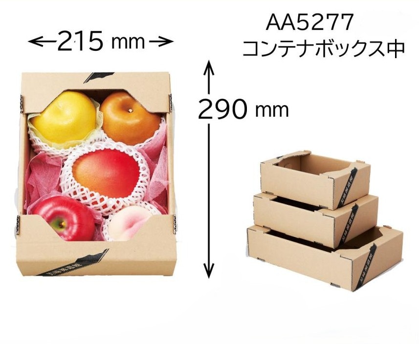 【果物詰め合わせ用】コンテナBOX美味派遣便　中（20枚入）　内寸：290×215×Ｈ90mm