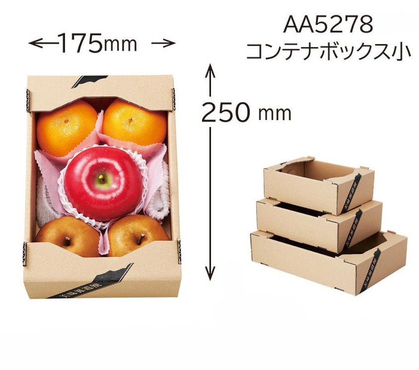 【果物詰め合わせ用】コンテナBOX美味派遣便　小（100枚入）　内寸：250×175×Ｈ90mm
