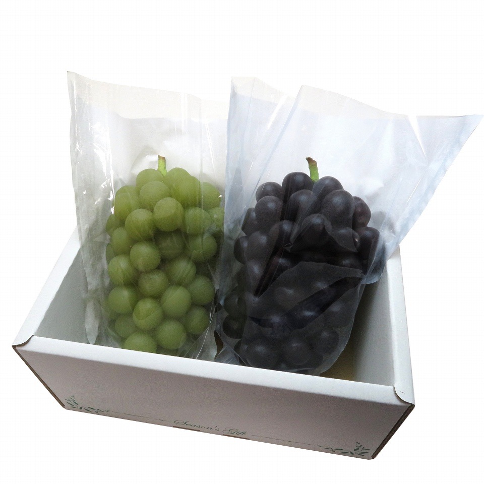 ぶどう 出荷用三角袋 中ブルー(セロハン部分の印刷無地) 100枚入 (紙、セロハン) 中房ぶどう用