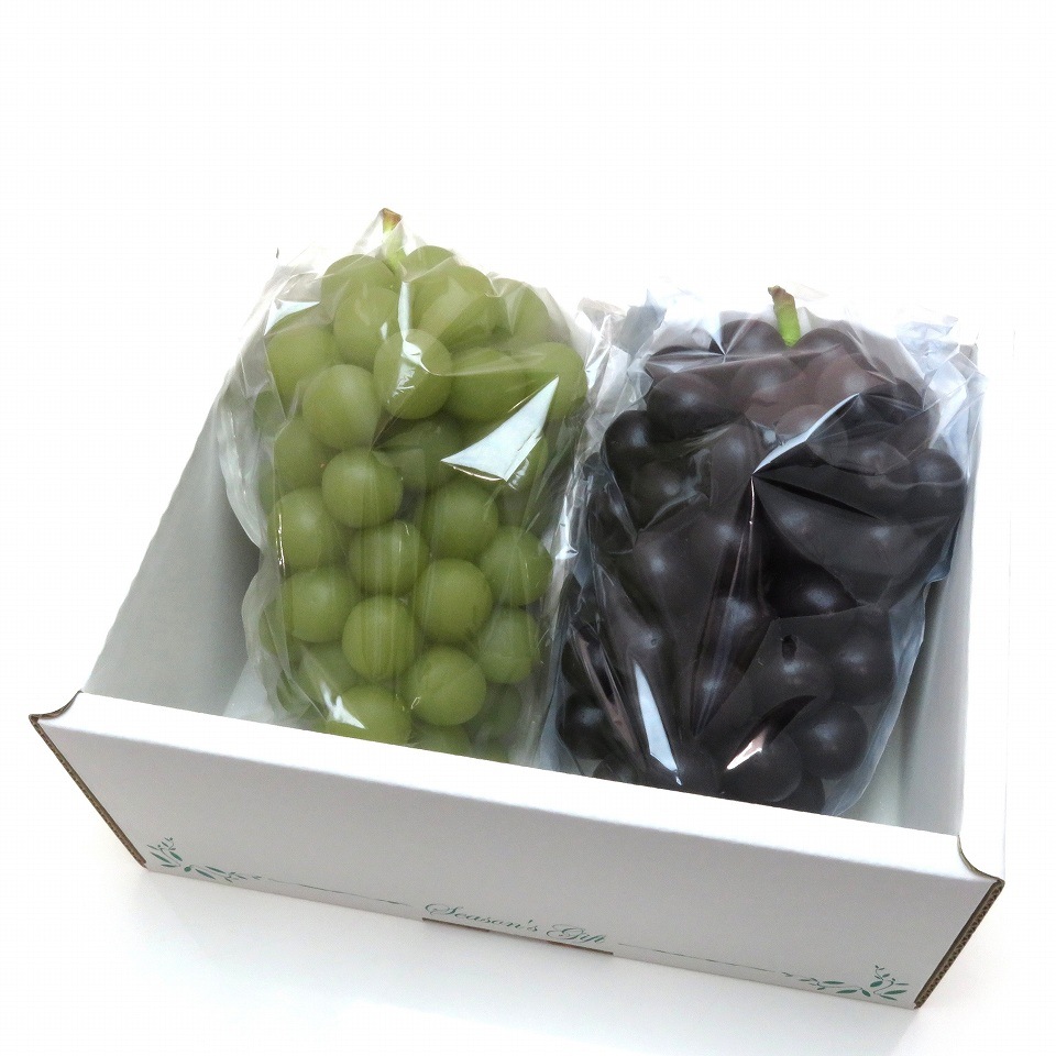 ぶどう 出荷用三角袋 中ブルー(セロハン部分の印刷無地) 100枚入 (紙、セロハン) 中房ぶどう用