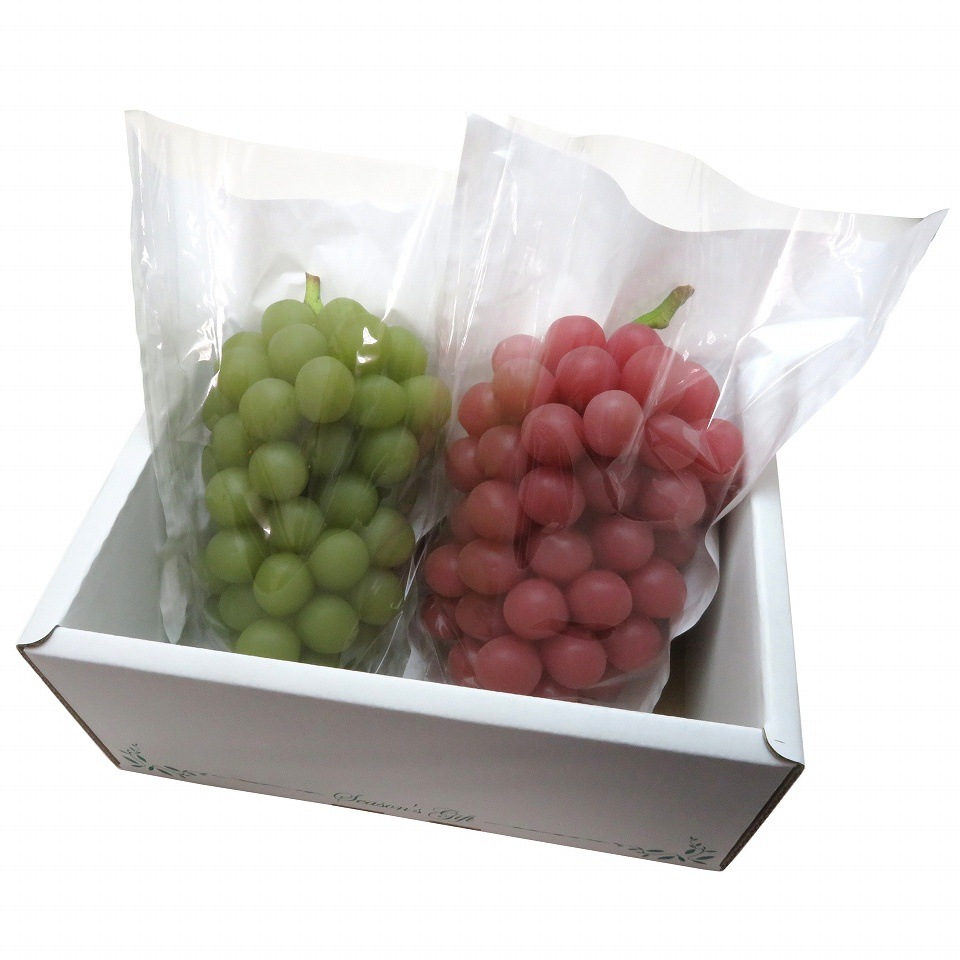 ぶどう 出荷用三角袋 大透明（セロハン部分の印刷無地） 100枚入 （紙、セロハン） 大房 ぶどう用