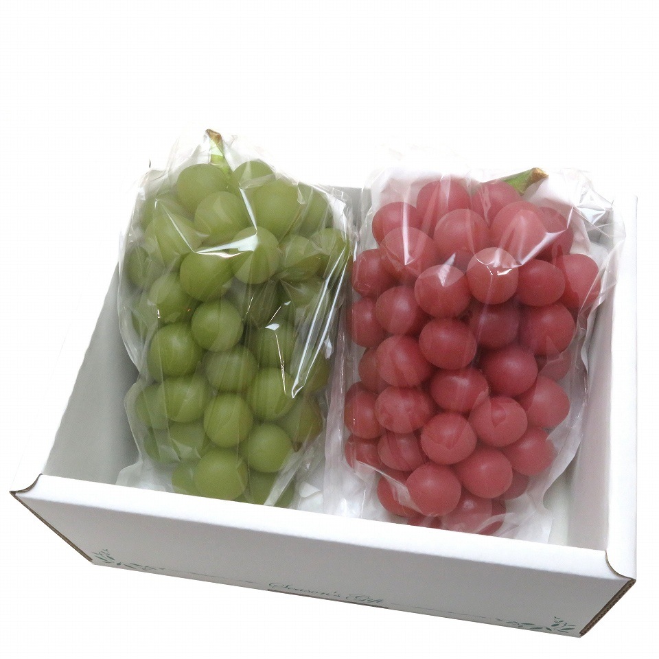 ぶどう 出荷用三角袋 大透明（セロハン部分の印刷無地） 100枚入 （紙、セロハン） 大房 ぶどう用