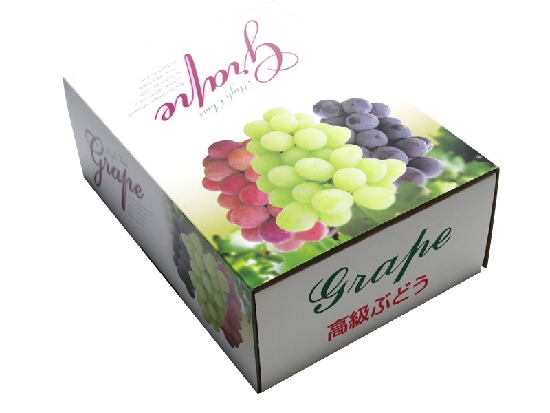 ヘ゛ストク゛レーフ゜　C-2-1　三色白　フタ、身　50セット