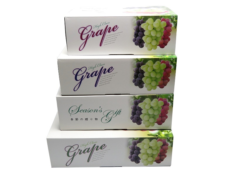 ヘ゛ストク゛レーフ゜　C-2-1　三色白　フタ、身　50セット