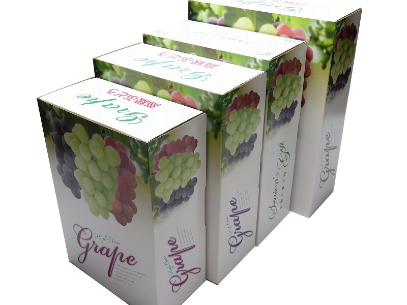 ヘ゛ストク゛レーフ゜　C-2-1　三色白　フタ、身　50セット