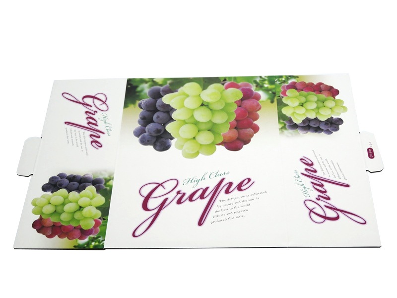 ヘ゛ストク゛レーフ゜　C-2-1　三色白　フタ、身　50セット