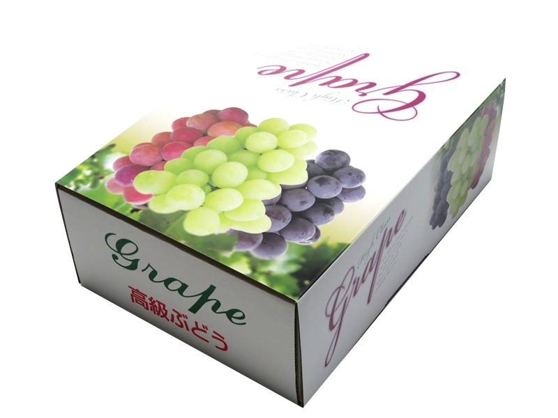 ヘ゛ストク゛レーフ゜　C-2-1　三色白　フタ、身　50セット