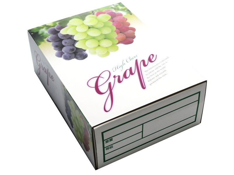 ヘ゛ストク゛レーフ゜　C-2-1　三色白　フタ、身　50セット