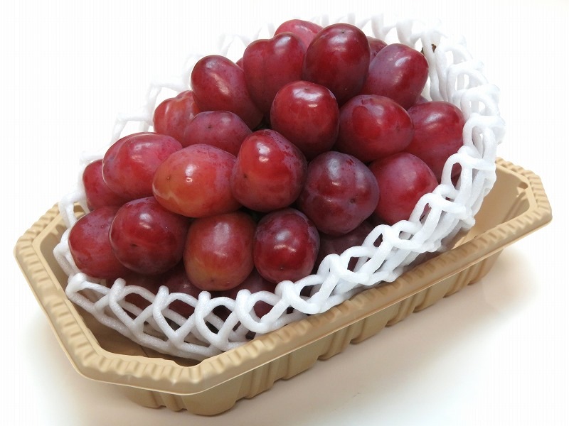 フルーツパック(レジーム)　L　アースカラー　100枚/袋