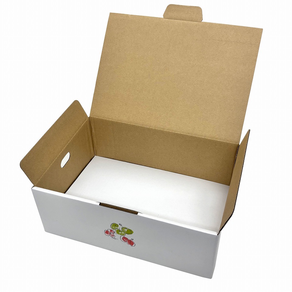 【おもてなし箱 一体型 大 50枚入】 果物箱 贈答ケース フルーツ詰め合わせ用 化粧箱(AA1320)