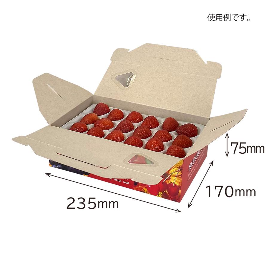 【手さげ箱】フルーツランド ビビット(20枚入) 内寸:170×235×H75mm