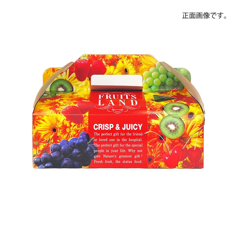 【手さげ箱】フルーツランド ビビット(20枚入) 内寸:170×235×H75mm
