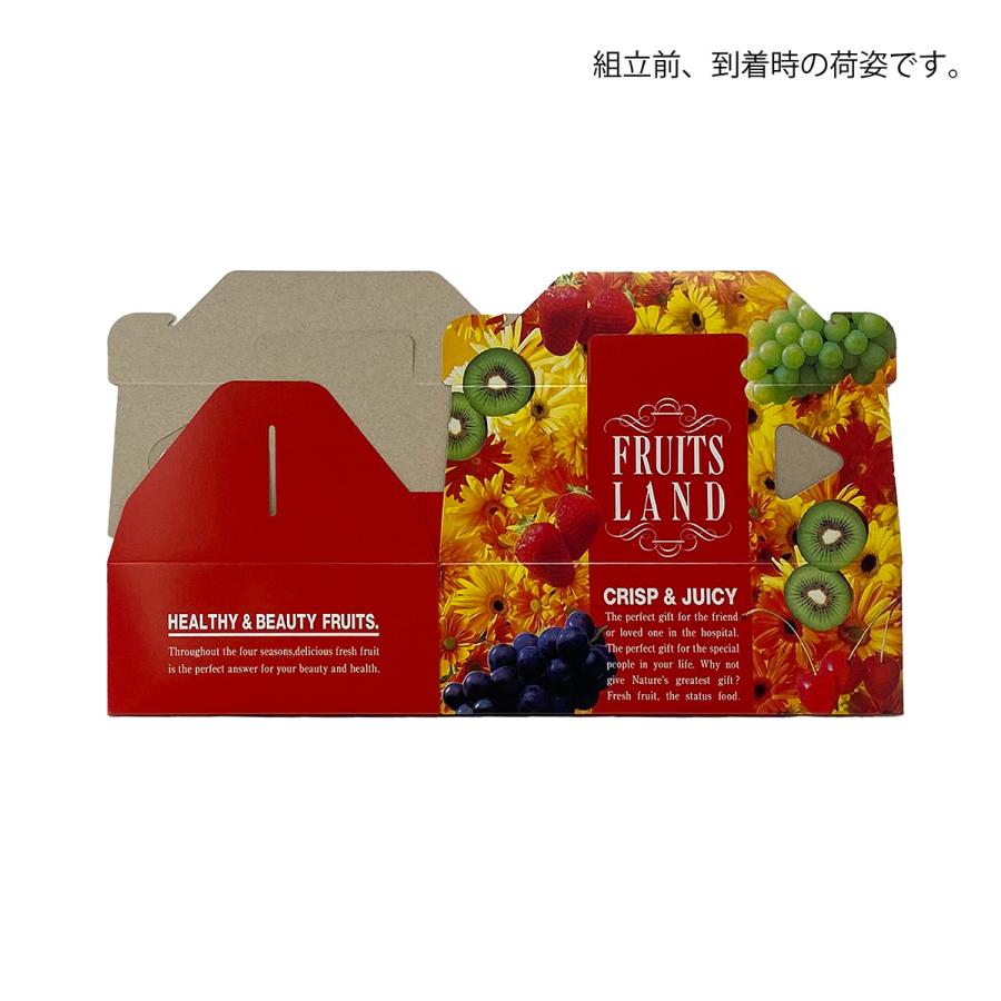 【手さげ箱】フルーツランド ビビット(20枚入) 内寸:170×235×H75mm