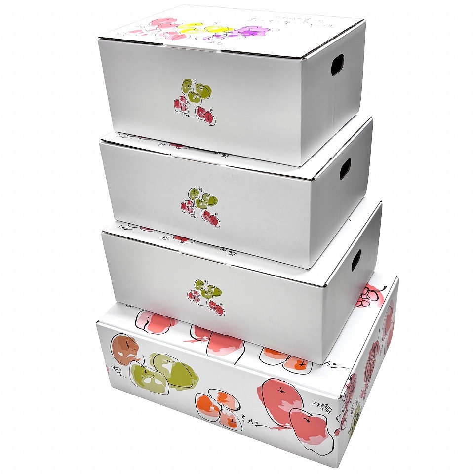 【おもてなし箱 一体型 大 10枚入】 果物箱 贈答ケース フルーツ詰め合わせ用 化粧箱(AA1320-10)