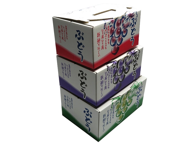 手さげ箱 OT-1.5 ぶどう 約1.5㎏用 （5枚入） お試し用