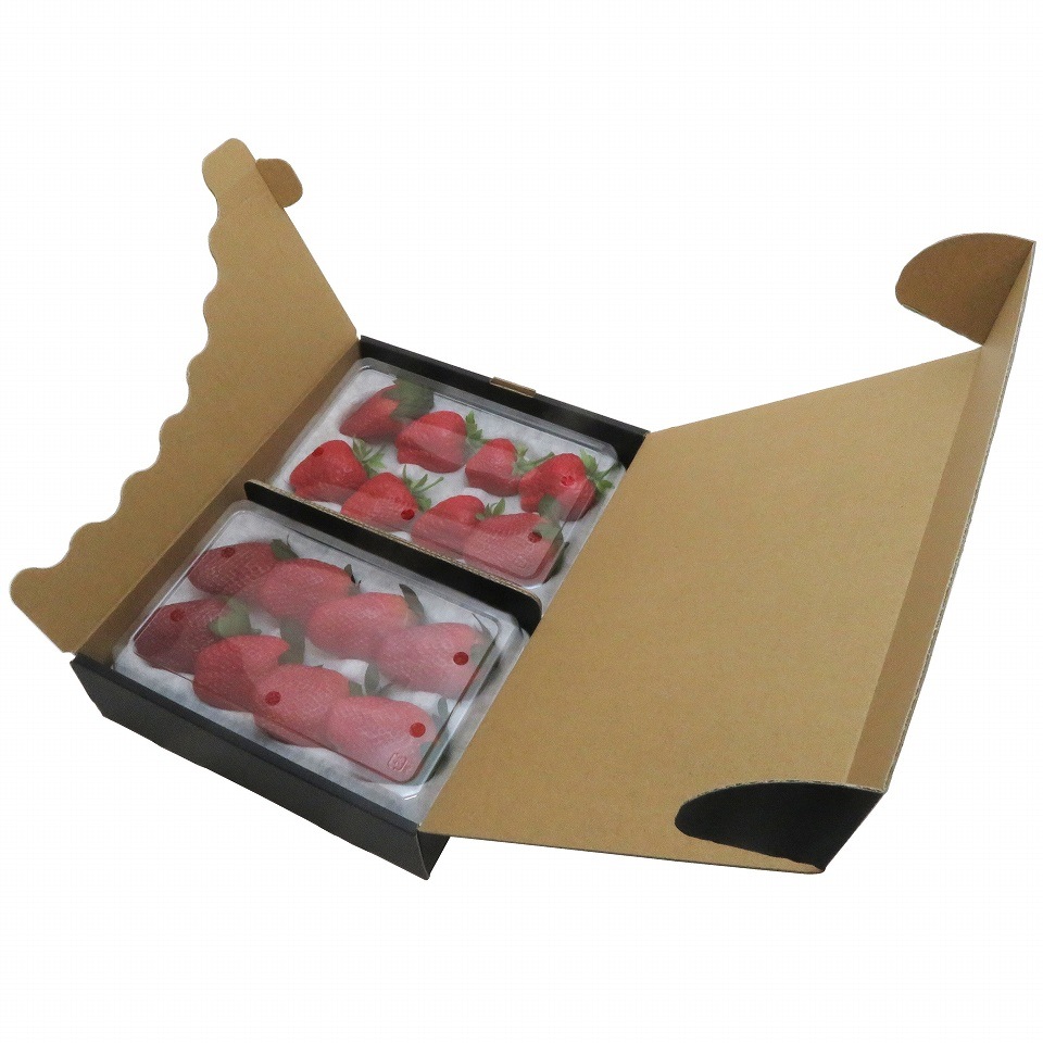 ハンモックトレー(ゆりかーごCタイプ)専用 黒化粧箱箱 (2トレー用) 100枚/箱