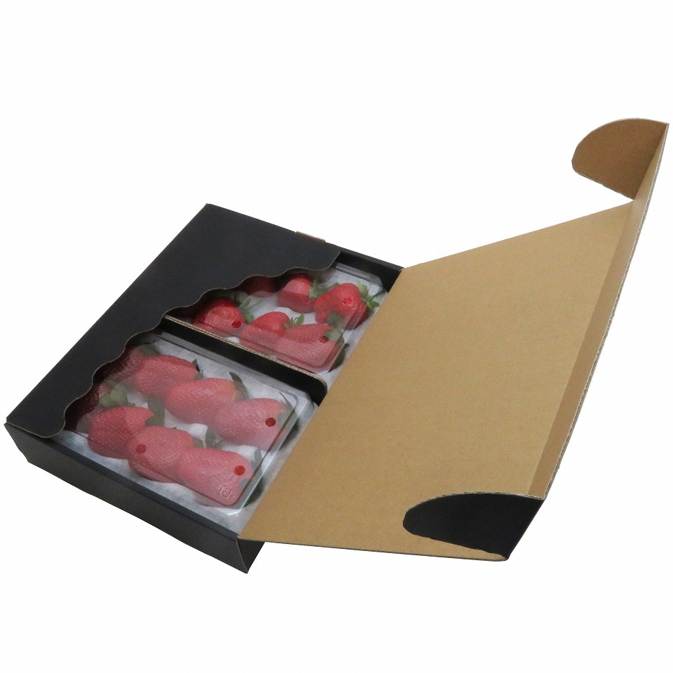 ハンモックトレー(ゆりかーごCタイプ)専用 黒化粧箱箱 (2トレー用) 100枚/箱