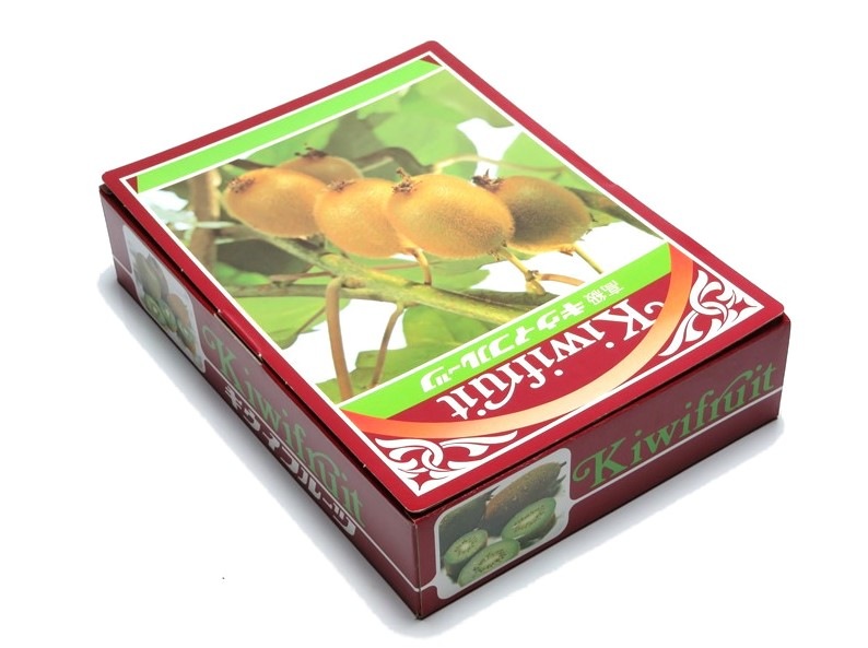 キウイ　1K　化粧箱(OP付)　100セット/箱