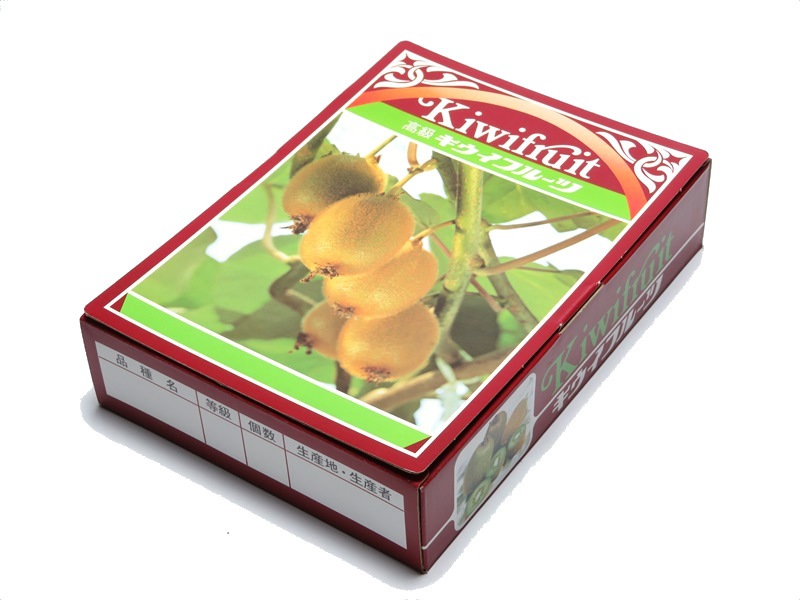 キウイ　1K　化粧箱(OP付)　100セット/箱