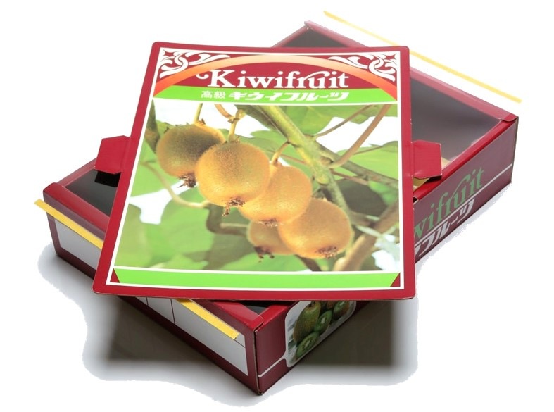 キウイ　1K　化粧箱(OP付)　100セット/箱
