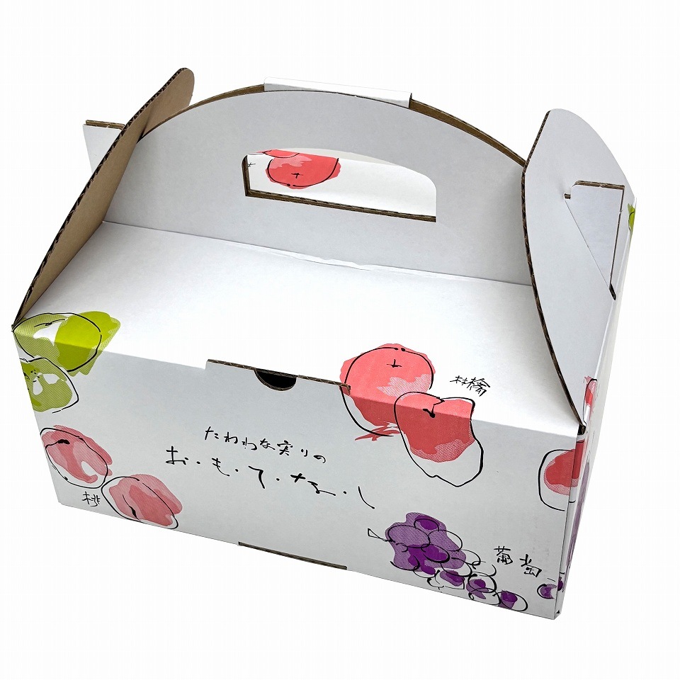 【おもてなし手提箱 中 10枚入】果物ギフト箱 贈答ケース フルーツ詰め合わせ用 (AA1332-10)
