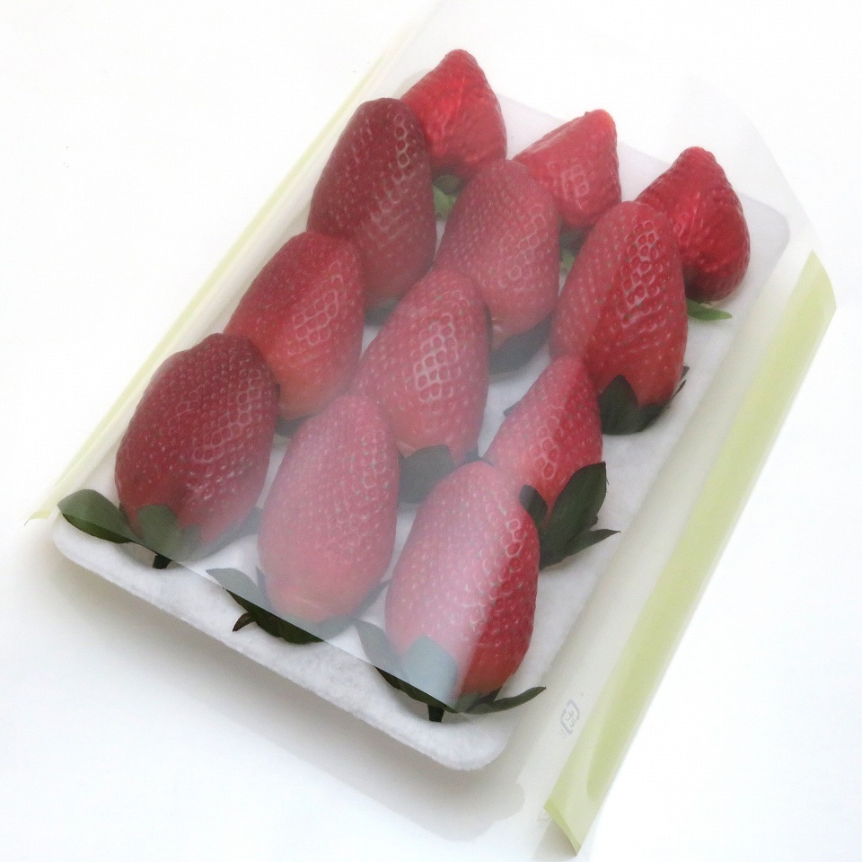 イチゴ用 ハンモックトレー 12H(133×200mm) 25枚/袋