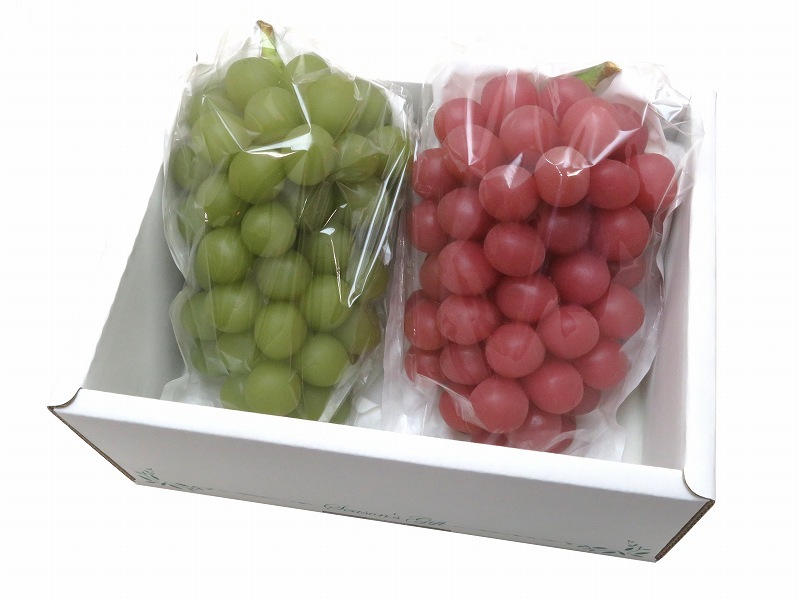 ぶどう三角福袋　特特大透明（無地エコ）　3000枚/箱　セロハン部分の印刷無地・紙部分印刷あり