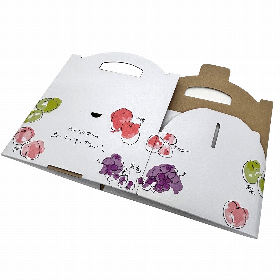 【おもてなし手提箱 小 10枚入】果物ギフト箱 贈答ケース フルーツ詰め合わせ用 (AA1333-10)