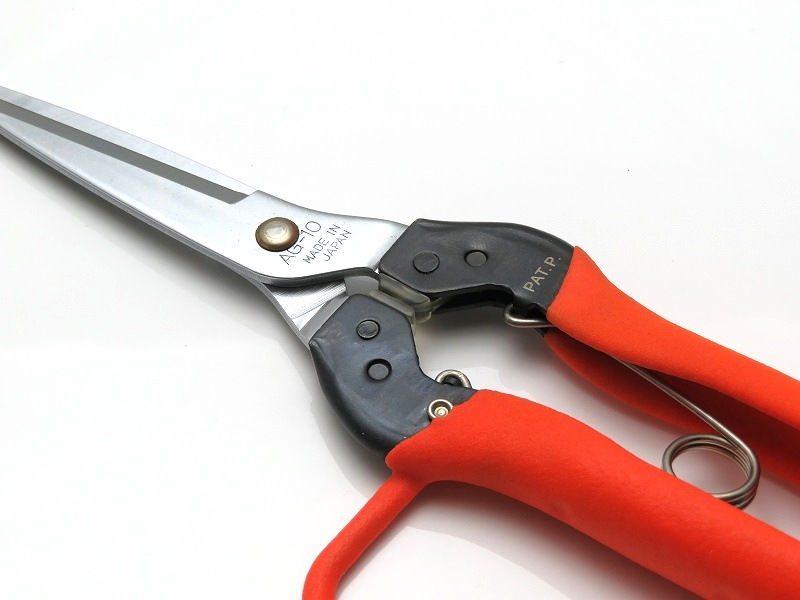 サボテン 青果はさみ ガード付 AG-10G | 刃物、道具,万能ハサミ | 葡萄