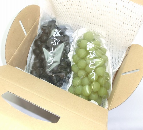 ぶどう 出荷用三角袋 特大ブルー 100枚入 (紙、セロハン) 大房 黒ぶどう用