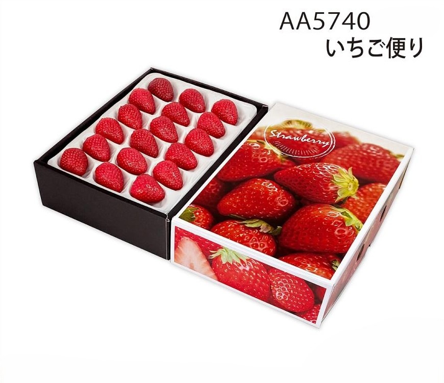【いちご用化粧箱】いちご便り　（10枚入）　内寸：230×160×H60ｍｍ